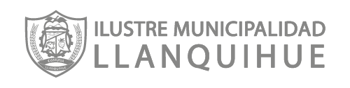 Logo Item
